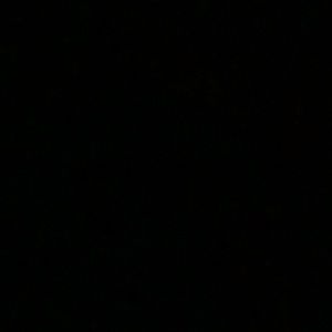 Meet your Posher, Lucas